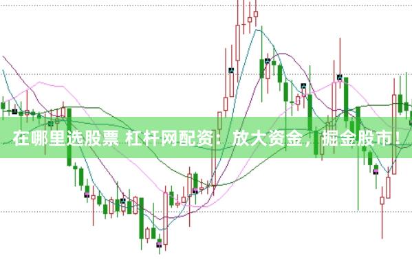 在哪里选股票 杠杆网配资：放大资金，掘金股市！