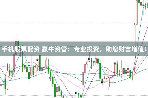 手机股票配资 赢牛资管：专业投资，助您财富增值！