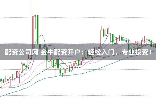 配资公司网 金牛配资开户：轻松入门，专业投资！