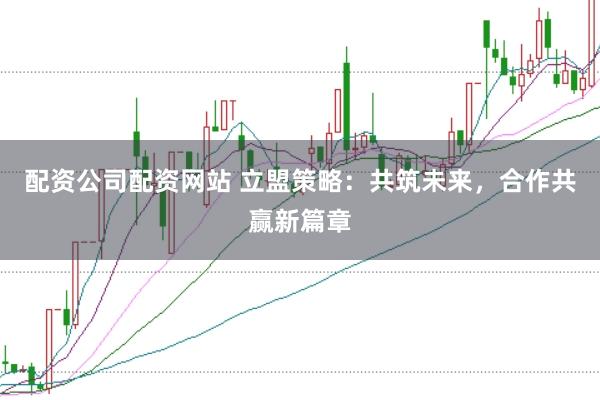 配资公司配资网站 立盟策略：共筑未来，合作共赢新篇章