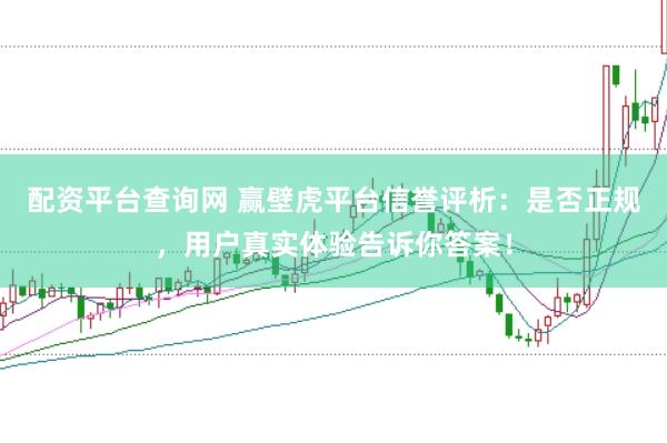 配资平台查询网 赢壁虎平台信誉评析：是否正规，用户真实体验告诉你答案！