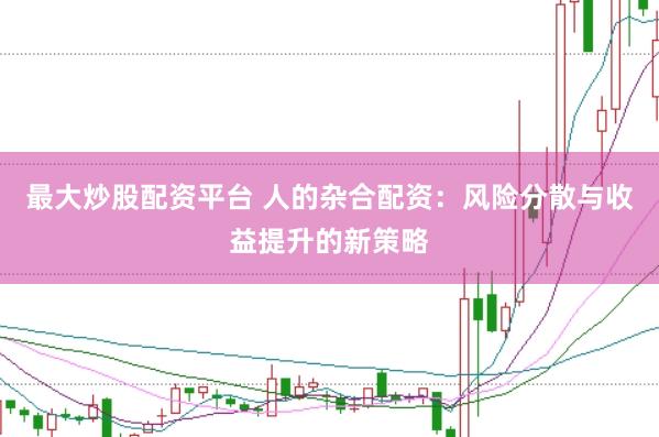 最大炒股配资平台 人的杂合配资：风险分散与收益提升的新策略