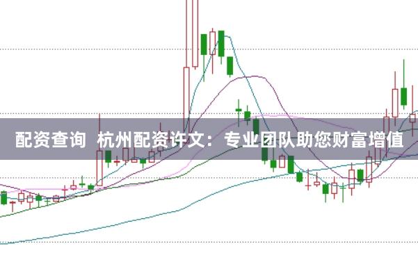 配资查询  杭州配资许文：专业团队助您财富增值