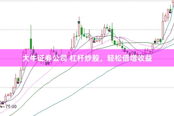 大牛证券公司 杠杆炒股，轻松倍增收益
