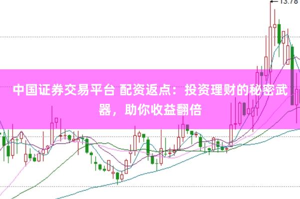 中国证券交易平台 配资返点：投资理财的秘密武器，助你收益翻倍