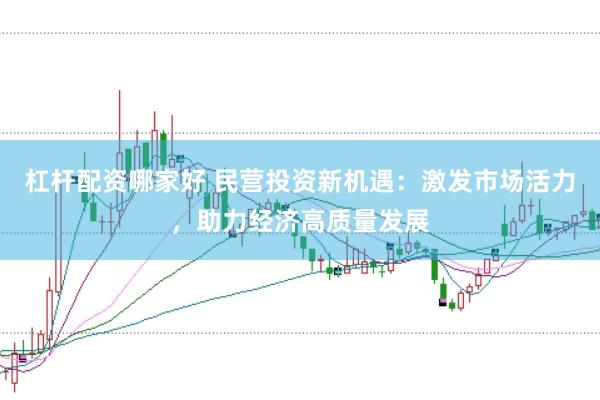 杠杆配资哪家好 民营投资新机遇：激发市场活力，助力经济高质量发展