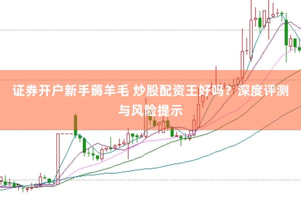 证券开户新手薅羊毛 炒股配资王好吗？深度评测与风险提示