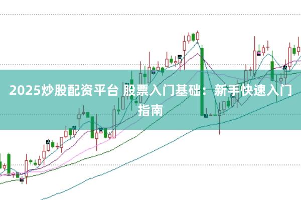 2025炒股配资平台 股票入门基础:新手快速入门指南